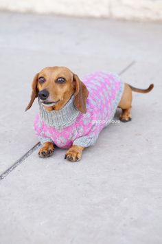 dachshund sweater